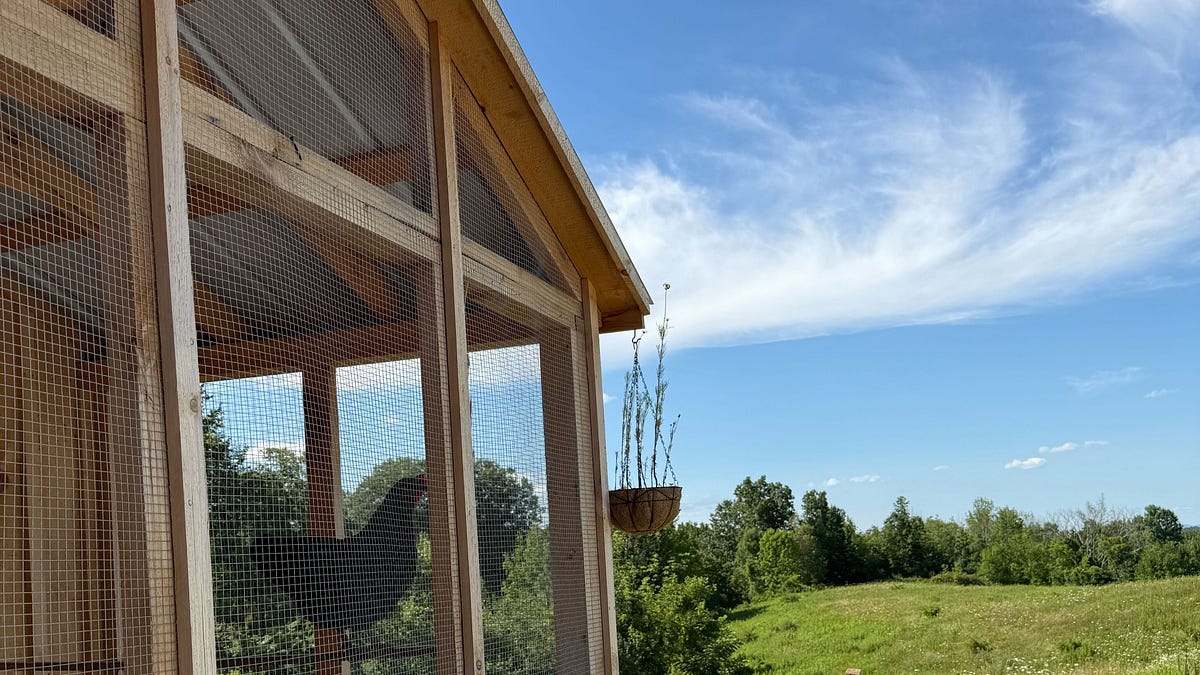 Searching Charity Land Lease: Top Charity Sites Have No Articles